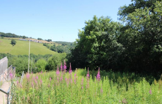 Plot for sale in Argoed photo